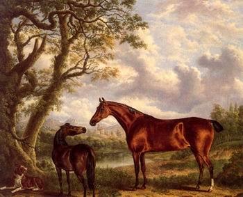 unknow artist Classical hunting fox, Equestrian and Beautiful Horses, 224. Germany oil painting art